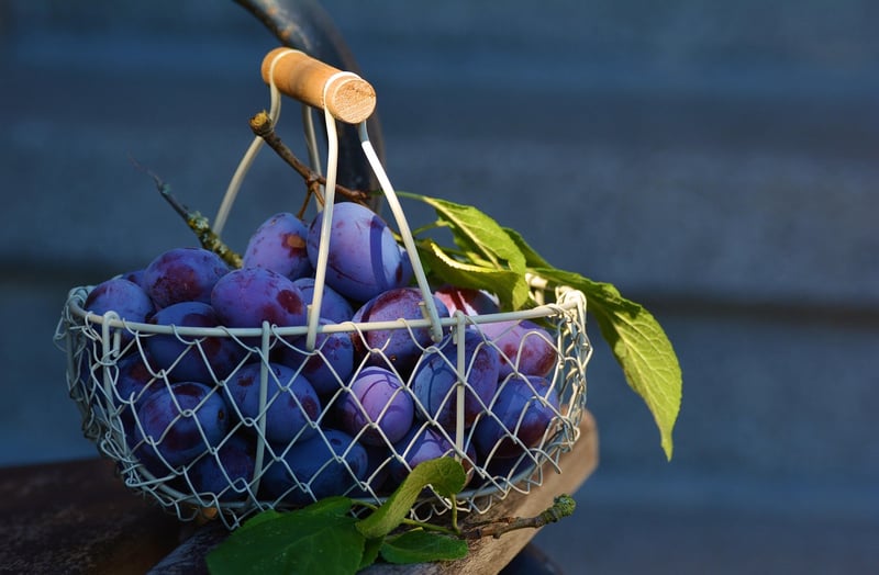 Hanging Baskets